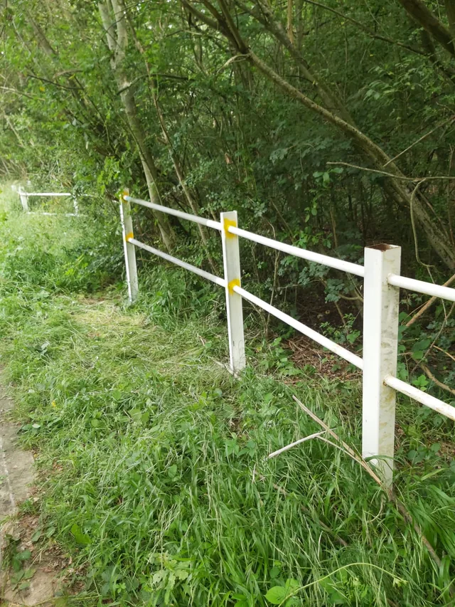 Long run of white steel boundary railings beside vegetation