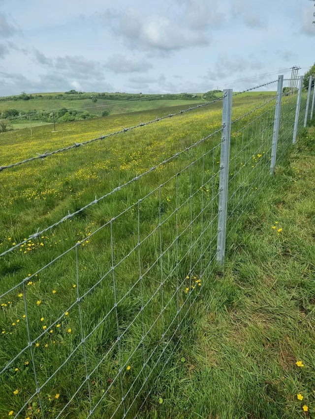 Wire boundary fence running across a grassy landscape