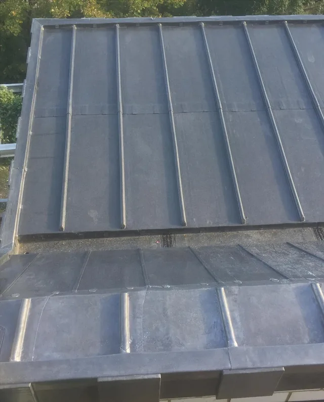 Extension roof covering with raised seams and a lower roof section